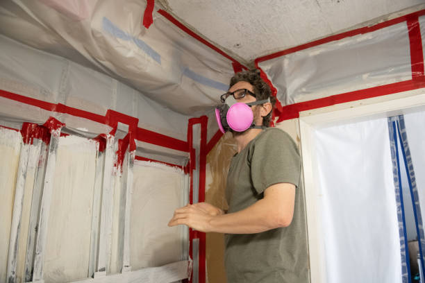 Best Post-Remediation Verification Testing  in Monessen, PA