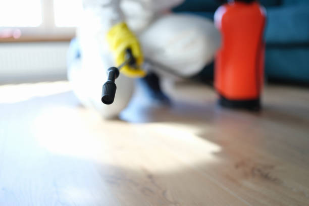 Best Real Estate Mold Inspection  in Monessen, PA
